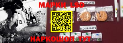 apvp Нальчик