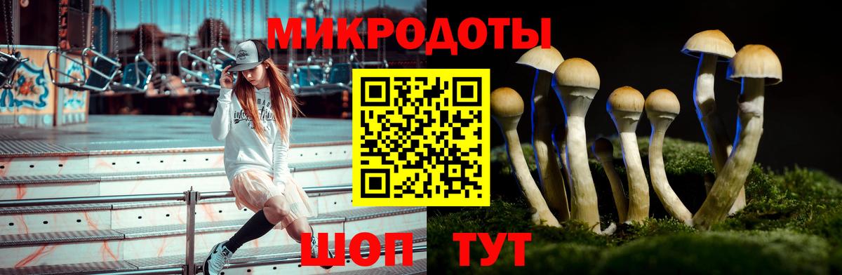 Псилоцибиновые грибы Cubensis Славгород